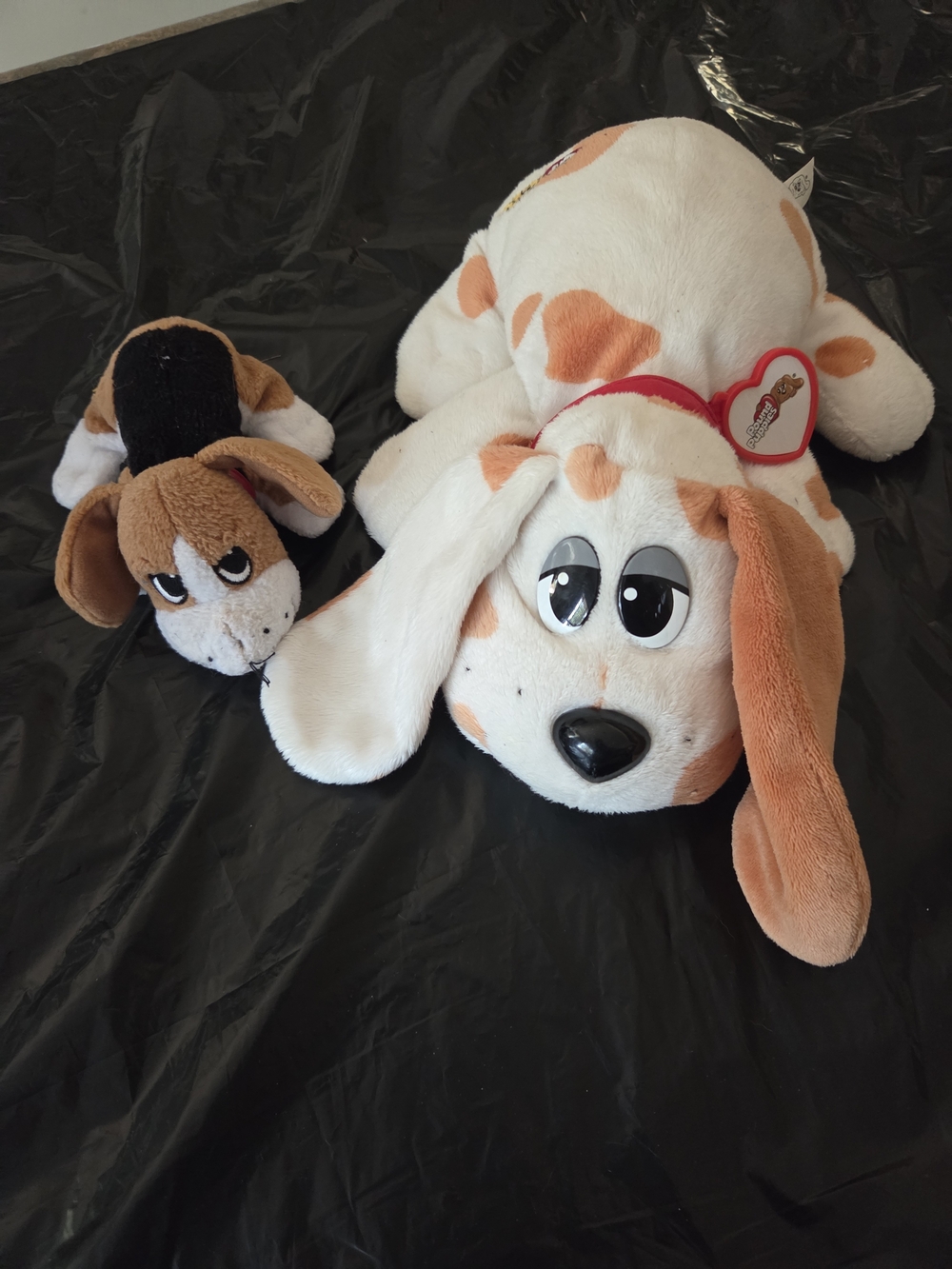 Pound Puppies